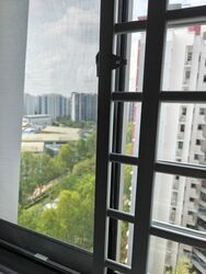 Blk 613D Damai Grove (Punggol), HDB 4 Rooms #504351911